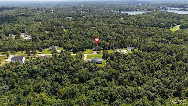 10185 Springer Dr, Bonne Terre, MO 63628 - drone / aerial view of a nearby body of water