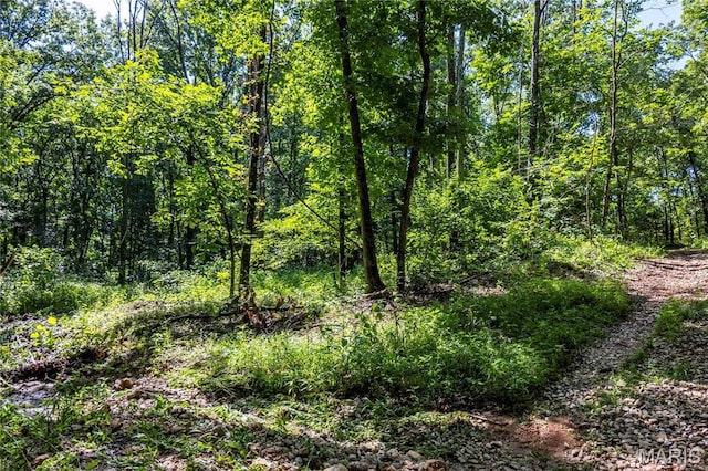 00 N State Highway 47, Warrenton, MO 63383