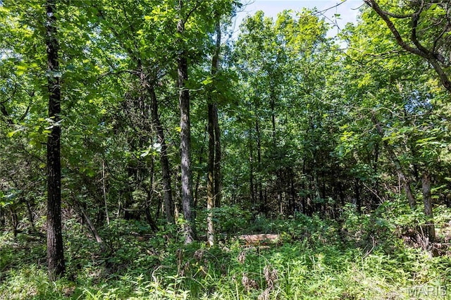 00 N State Highway 47, Warrenton, MO 63383
