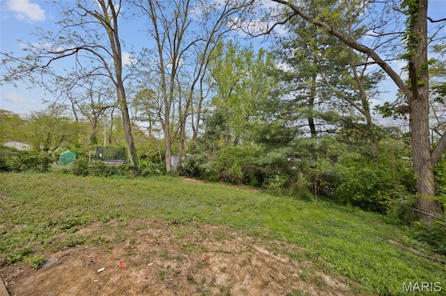 229 Orchard Ave, Ballwin, MO 63021 - view of yard