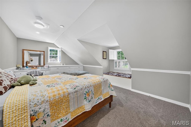 188 Sheets Dr, Troy, MO 63379 - photo 35