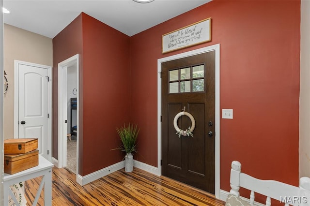 1145 Nassau Dr, Edwardsville, IL 62025 - entrance foyer featuring wood finished floors and baseboards