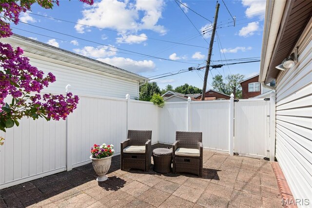 4072 Toenges Ave, Saint Louis, MO 63116 - photo 32