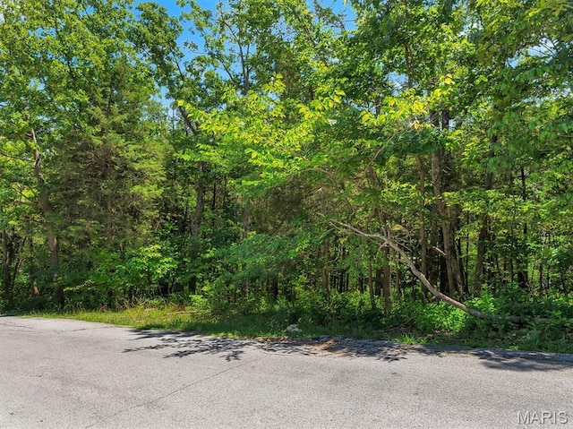 9630 Duffer Dr, Hillsboro, MO 63050 - photo 1