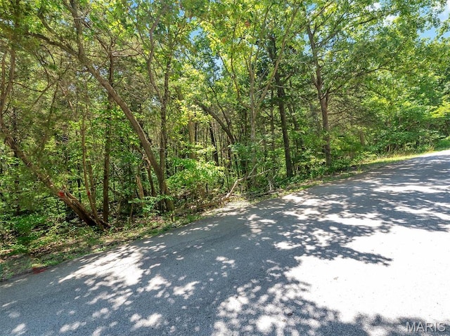 9630 Duffer Dr, Hillsboro, MO 63050 - photo 2