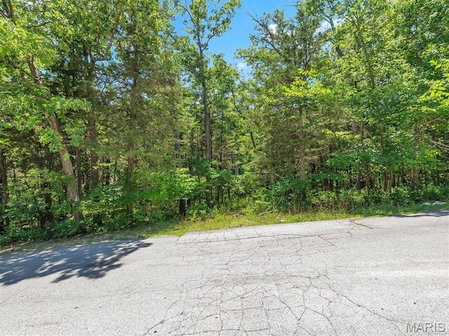 9630 Duffer Dr, Hillsboro, MO 63050 - photo 3