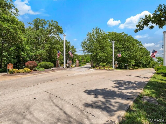 9630 Duffer Dr, Hillsboro, MO 63050 - photo 12