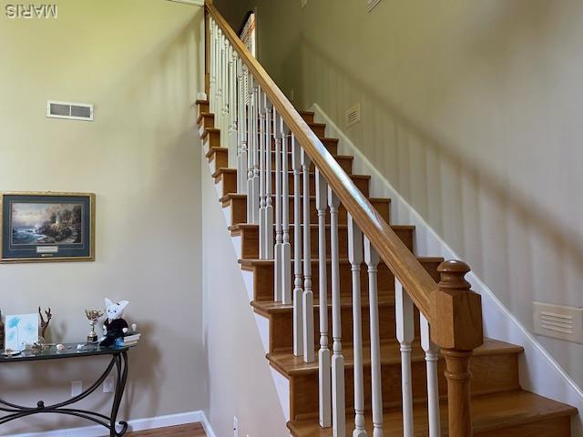 2007 Donna Ln, Cape Girardeau, MO 63701 - photo 12