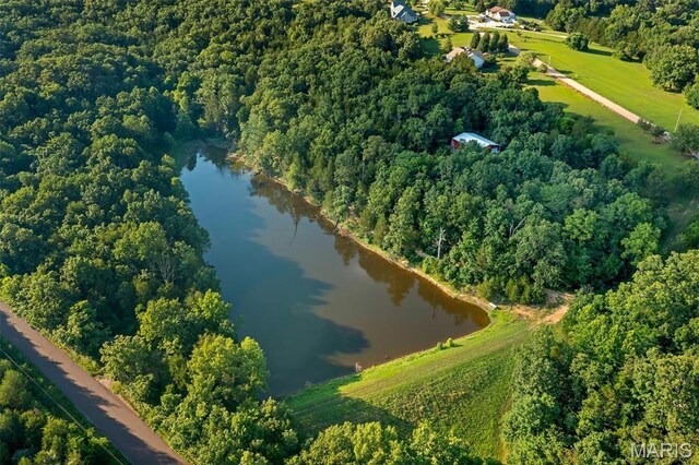 107 Morgan Lake Rd, De Soto, MO 63020 - photo 48