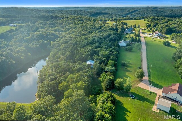 107 Morgan Lake Rd, De Soto, MO 63020 - photo 9