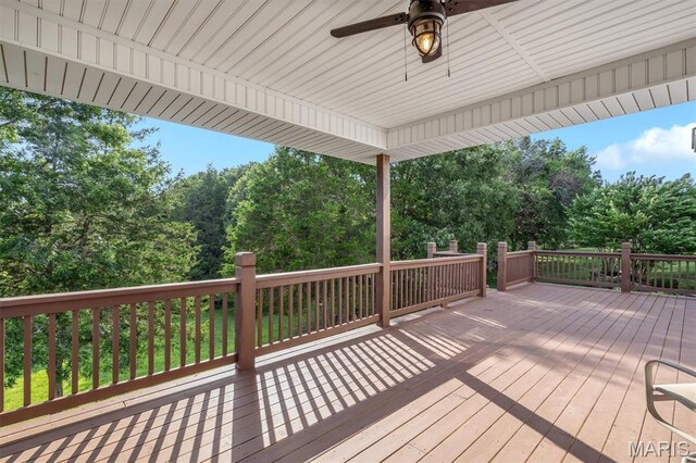 107 Morgan Lake Rd, De Soto, MO 63020 - photo 6