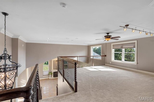 107 Morgan Lake Rd, De Soto, MO 63020 - photo 29