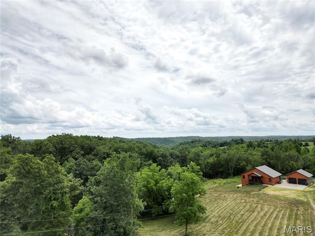 2852 New Hope Church Rd, Sullivan, MO 63080 - photo 87