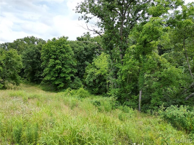 2852 New Hope Church Rd, Sullivan, MO 63080 - photo 88