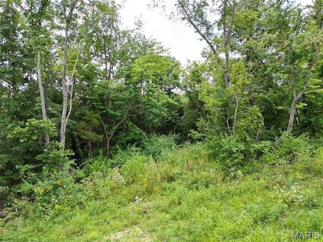 2852 New Hope Church Rd, Sullivan, MO 63080 - photo 89