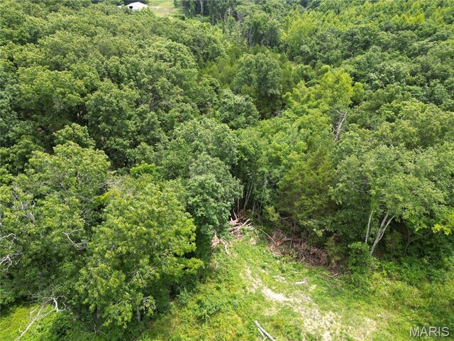 2852 New Hope Church Rd, Sullivan, MO 63080 - photo 90