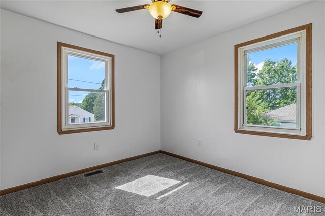 805 Blow St, De Soto, MO 63020 - photo 20
