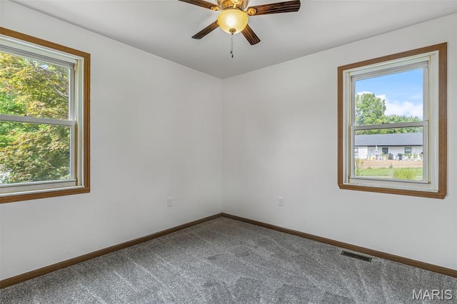 805 Blow St, De Soto, MO 63020 - photo 22