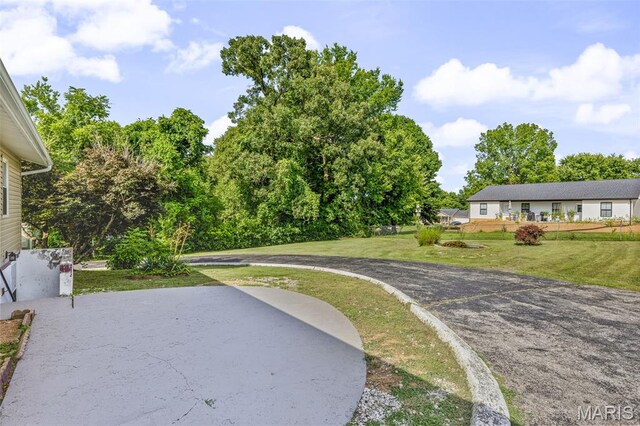 805 Blow St, De Soto, MO 63020 - photo 43