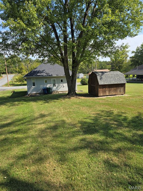 1414 Newton Ave, Johnston City, IL 62951 - view of green lawn featuring a storage unit