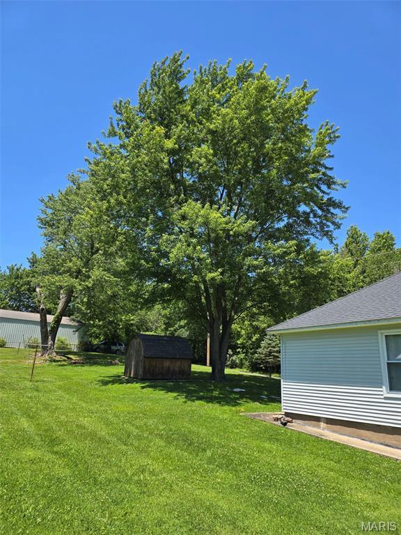 1414 Newton Ave, Johnston City, IL 62951 - view of yard with a storage shed