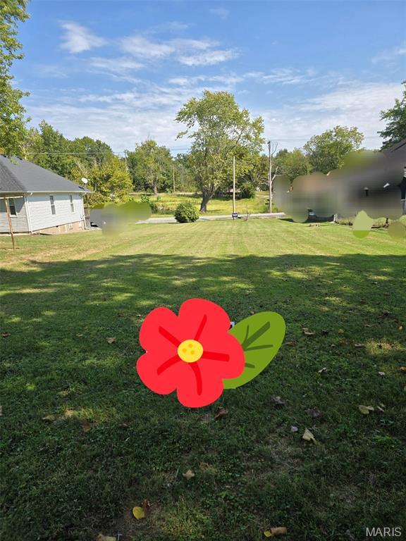 1414 Newton Ave, Johnston City, IL 62951 - view of green lawn