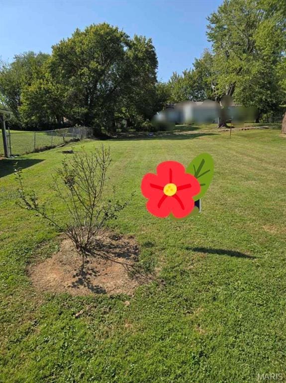 1414 Newton Ave, Johnston City, IL 62951 - view of yard