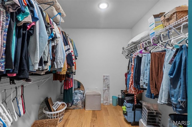 236 Haydens Trl, Jackson, MO 63755 - walk in closet with wood finished floors