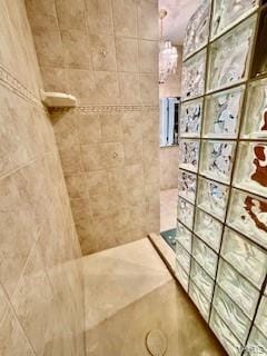 807B Wind Rivers Dr, Grafton, IL 62037 - bathroom with walk in shower