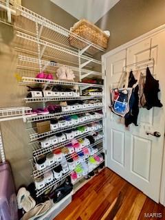 807B Wind Rivers Dr, Grafton, IL 62037 - view of pantry