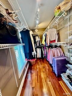 807B Wind Rivers Dr, Grafton, IL 62037 - walk in closet featuring wood finished floors