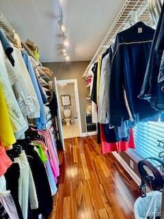 807B Wind Rivers Dr, Grafton, IL 62037 - walk in closet featuring wood finished floors