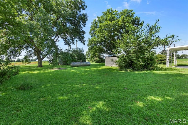16502 State Route P, Kennett, MO 63857 - photo 4