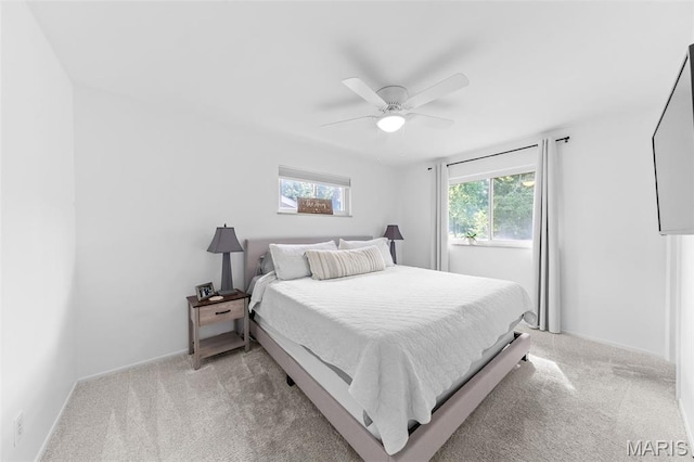 3500 Glen Arbor Dr, Saint Louis, MO 63125 - photo 10
