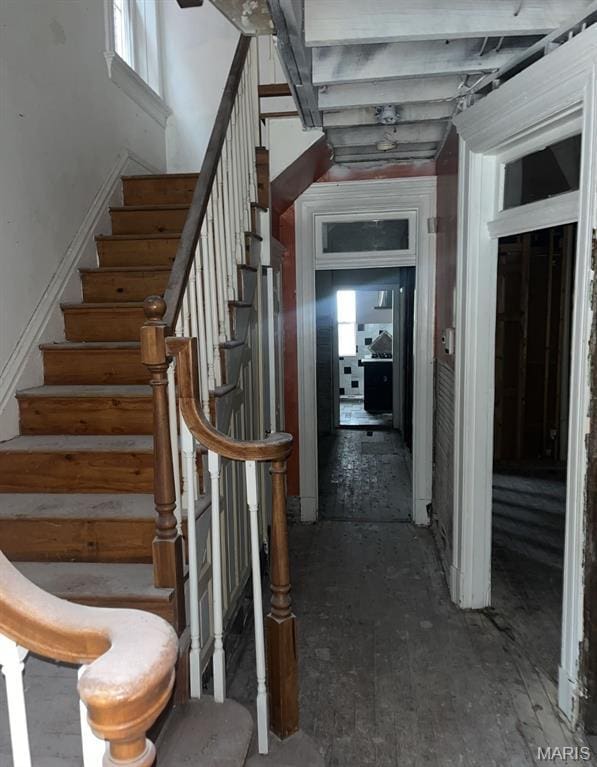 5185 Enright Ave, Saint Louis, MO 63108 - staircase featuring plenty of natural light