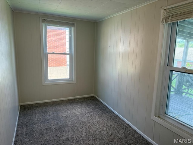 3313 Saint Charles St, Hannibal, MO 63401 - empty room with ornamental molding, plenty of natural light, carpet flooring, and wood walls