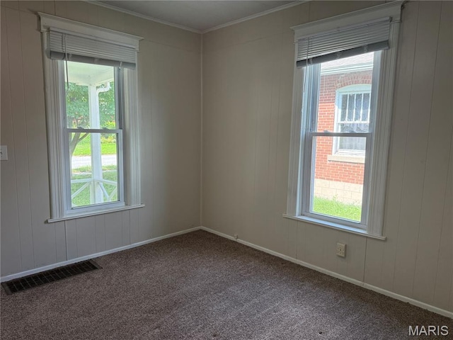 3313 Saint Charles St, Hannibal, MO 63401 - carpeted spare room featuring plenty of natural light and ornamental molding