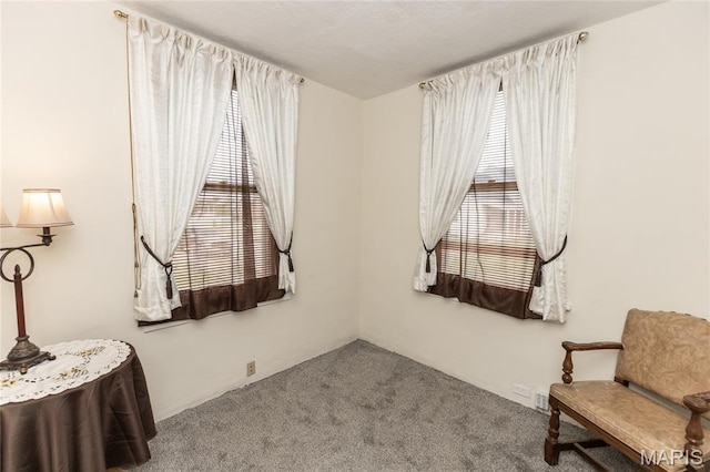 711 Erskine Ave, Lemay Township, MO 63125 - living area with carpet flooring