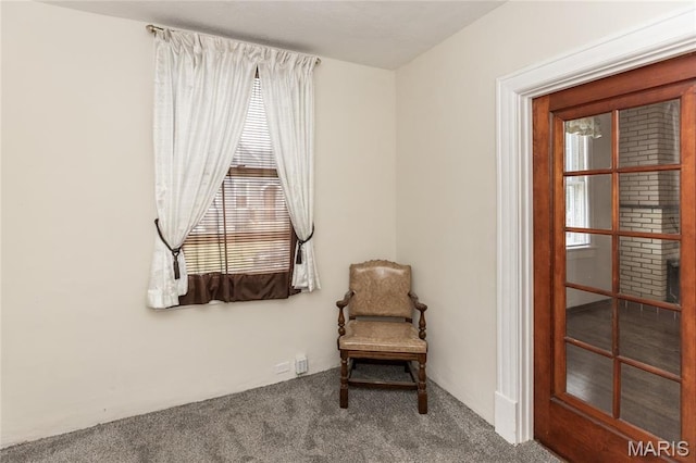 711 Erskine Ave, Lemay Township, MO 63125 - sitting room with plenty of natural light and carpet flooring