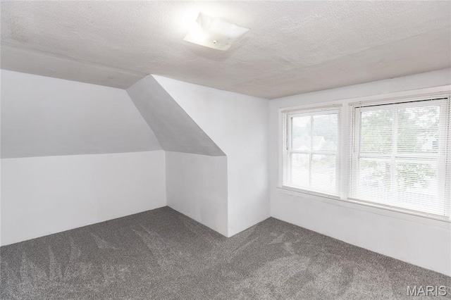 711 Erskine Ave, Lemay Township, MO 63125 - additional living space with dark carpet and a textured ceiling