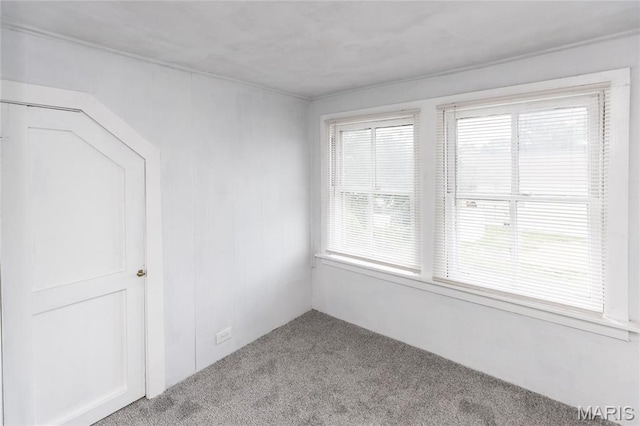 711 Erskine Ave, Lemay Township, MO 63125 - view of carpeted spare room