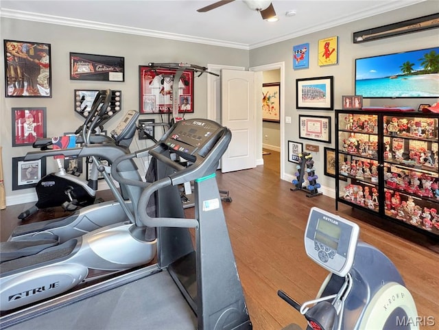 4 Market St, Washington, MO 63090 - workout area with crown molding, wood finished floors, and ceiling fan