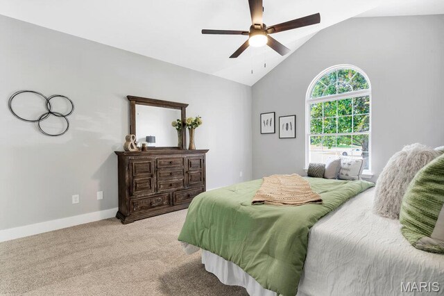 420 Morning Meadow Dr, Lake St Louis, MO 63367 - photo 24