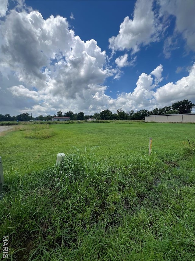 2335 Cheshire Blvd, Poplar Bluff, MO 63901 - photo 6
