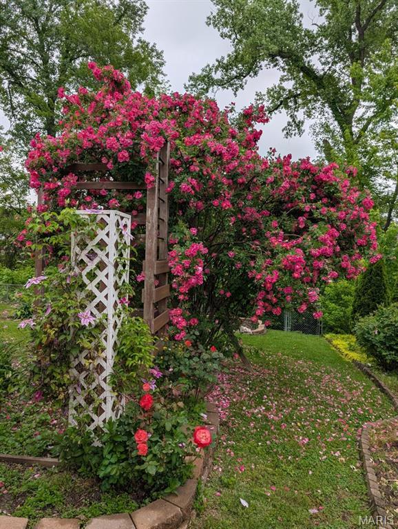 824 Ruth Dr, Saint Charles, MO 63301 - photo 48