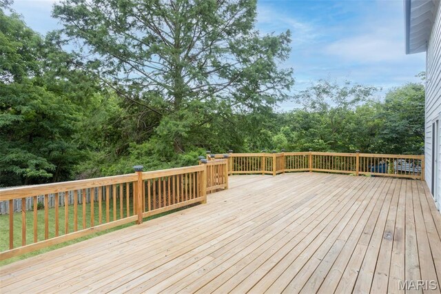15506 Chequer Dr, Chesterfield, MO 63017 - photo 42