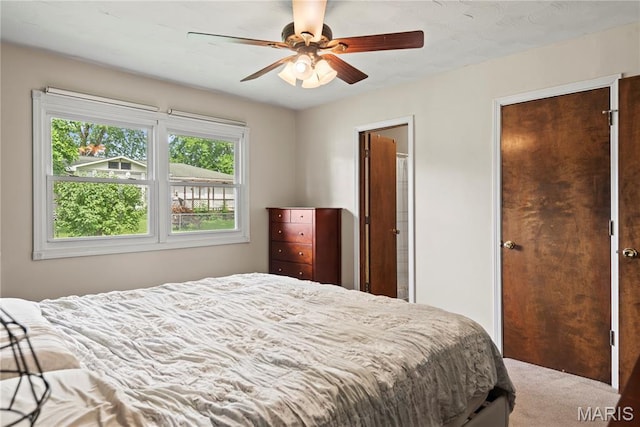1211 6th St, Pawnee, IL 62558 - photo 28