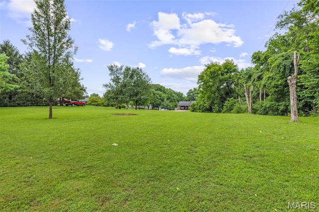 404 Rice Rd, Bonne Terre, MO 63628 - photo 13