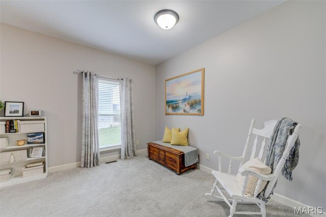 910 Pittsburg Landing Dr, Wentzville, MO 63385 - photo 27