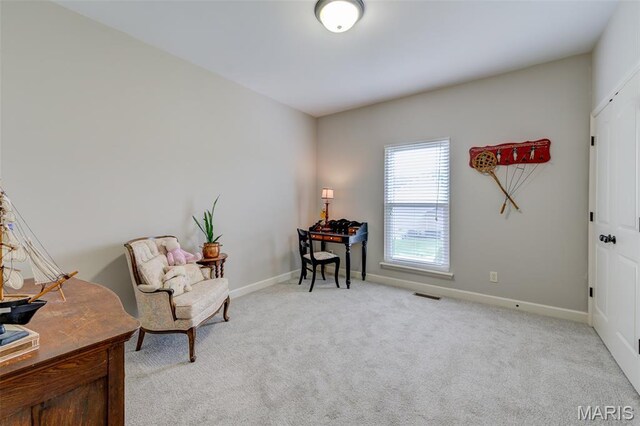 910 Pittsburg Landing Dr, Wentzville, MO 63385 - photo 38